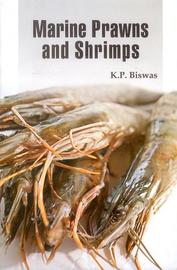 Marine Prawns and Shrimps